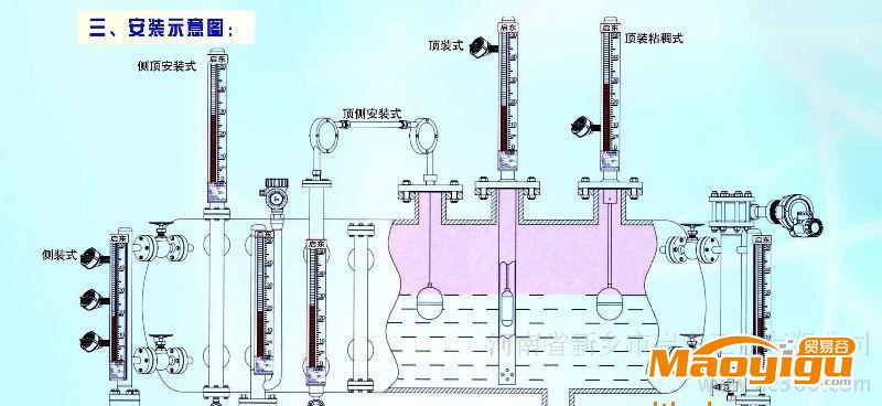 CDS-6 磁敏電子雙色液位計(jì)