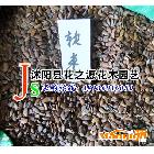 大量優(yōu)質(zhì) 軟棗種子 當(dāng)年新采 嫁接柿樹專用鉆木