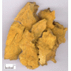 質(zhì)優(yōu)價廉的大黃素，虎杖提取物，植物提取物