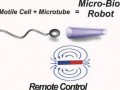科學(xué)家創(chuàng)造精子機(jī)器人 有效幫助受精