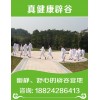 化州南山寺公益辟谷哪家信譽好-