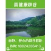 鄭州哪家辟谷機(jī)構(gòu)比較靠譜——【專業(yè)】第一次辟谷14天