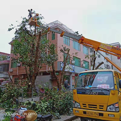 廣東清城車載式高空車出租-中橋建