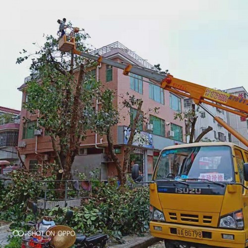 陸河橋梁檢測車出租服務(wù)中心歡迎您