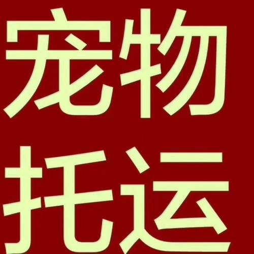 新聞：從大連到淄博直達客車