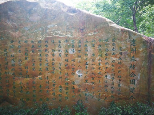 惠陽(yáng)白云新城房?jī)r(jià)?大亞灣西區(qū)房?jī)r(jià)瘋漲?-2019年房產(chǎn)焦點(diǎn)