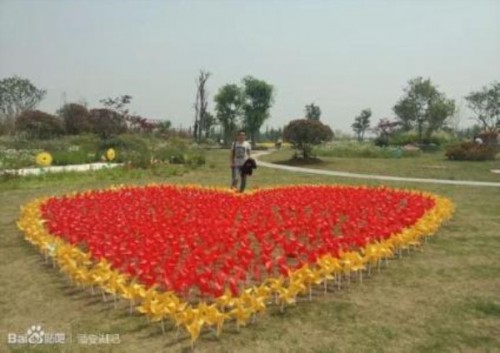 興安盟炫彩風(fēng)車節(jié)合作-工廠