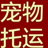 車訊：從大連到呼和浩特客車臥鋪票預(yù)定