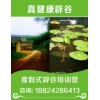 合肥辟谷養(yǎng)生老師_辟谷修行【全國開班】