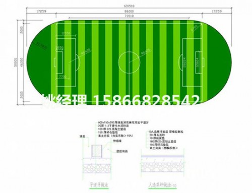 邢臺校園足球場地草坪廠家商家(內鄂爾多斯驗收)