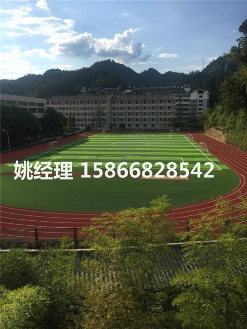 秦皇島運動場草坪足球場批發(fā)零售(內赤峰驗收)