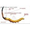 來賓哪里回收冬蟲夏草丨收蟲草價格、冬蟲夏草價格