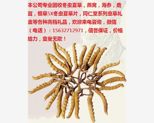 南寧回收冬蟲夏草IV南寧回收福牌阿膠