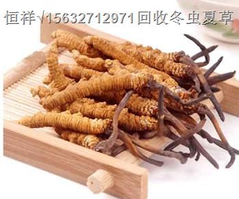 聊城回收冬蟲(chóng)夏草IV聊城回收蟲(chóng)草禮品