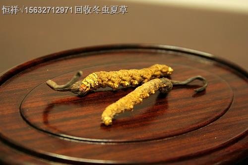 丹東回收蟲禮品價(jià)格丨丹東回收蟲草、茅臺(tái)