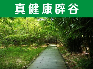 石家莊道家辟谷養(yǎng)生—— 孝感辟谷